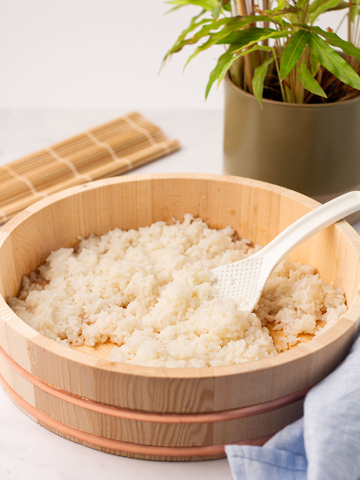 The cooked sushi rice in a light brown ohitsu container with a white spoon, on a white background with a bamboo placement mat and a potted plant behind.