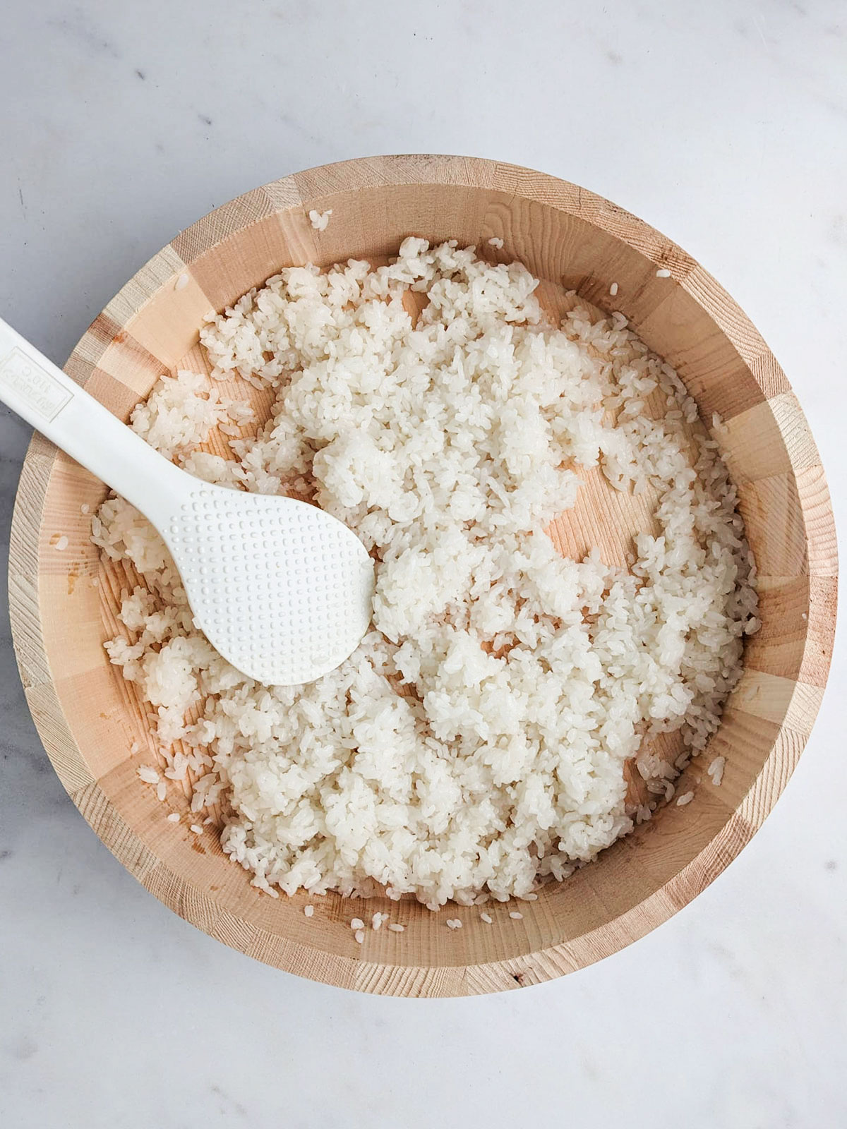 The cooked rice in a hangiri with a white rice paddle, on a white background.